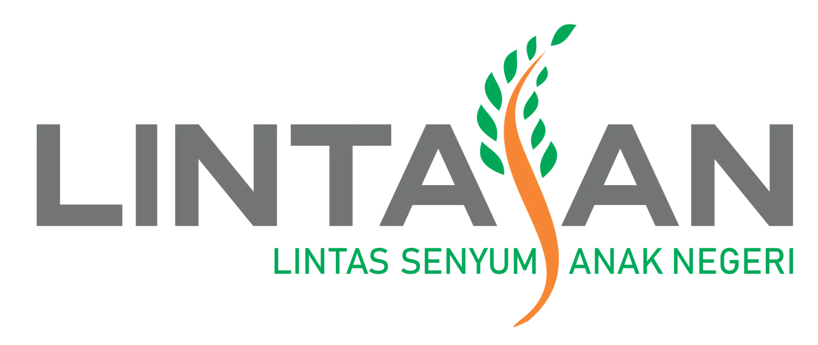 Yayasan Lintas senyum Anak Negeri